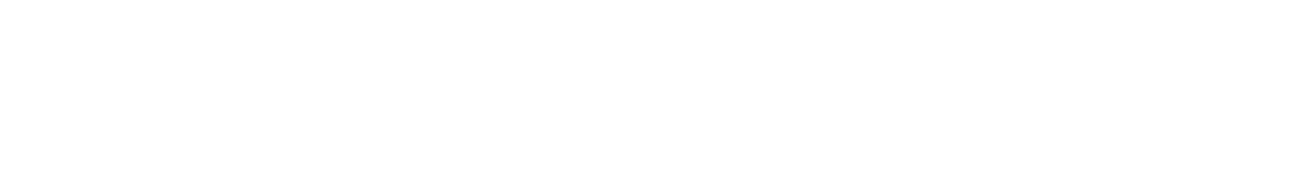 Horizon Brokers